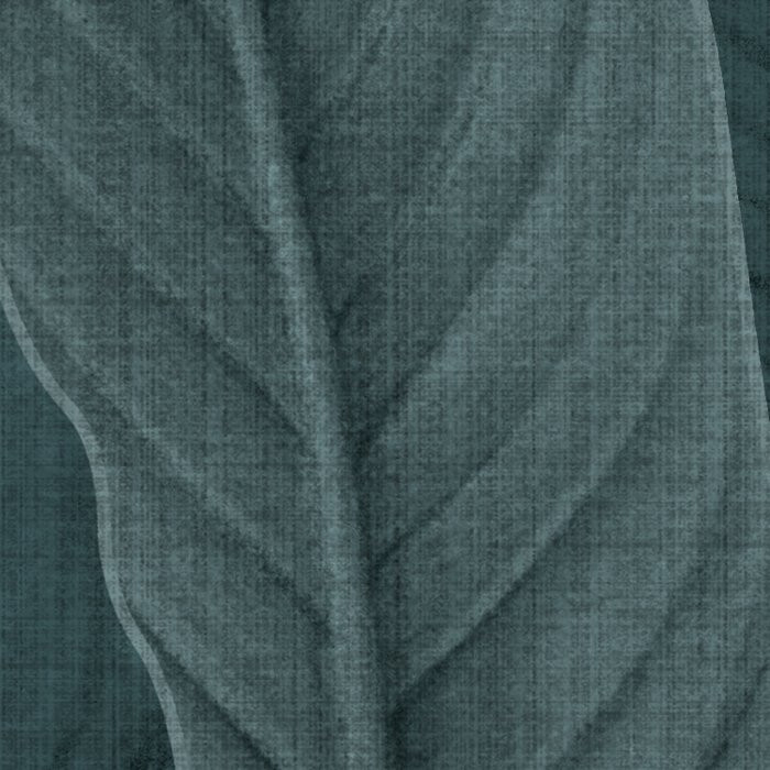 Bain de Feuilles