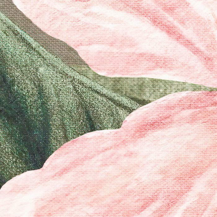 Large Bloomed