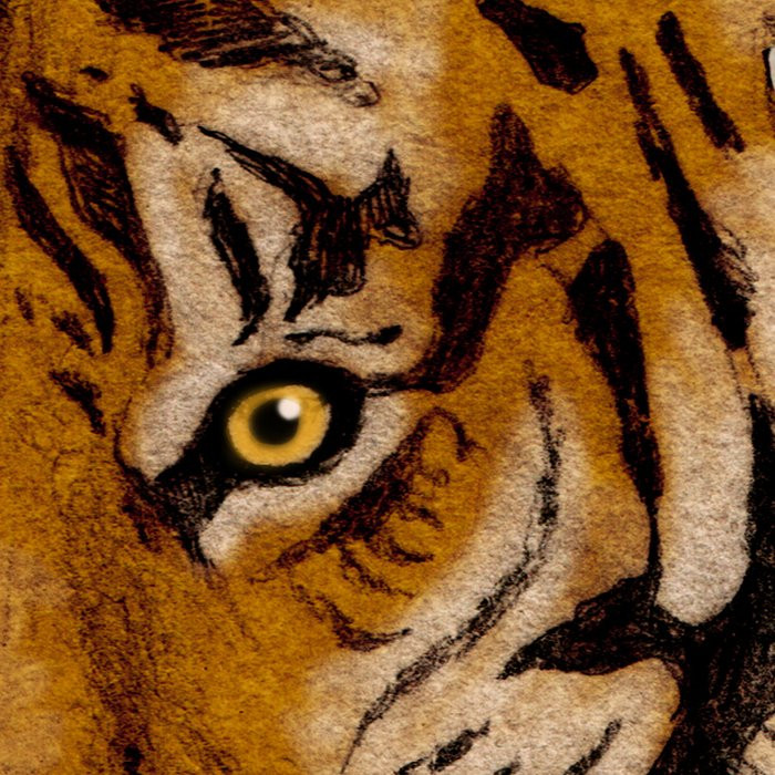 Tiger Jungle