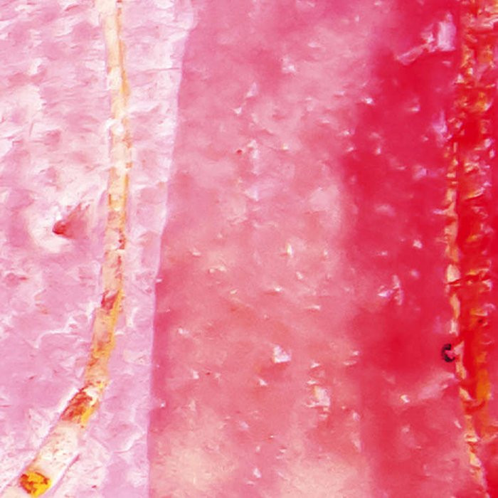 Cells Wrapping