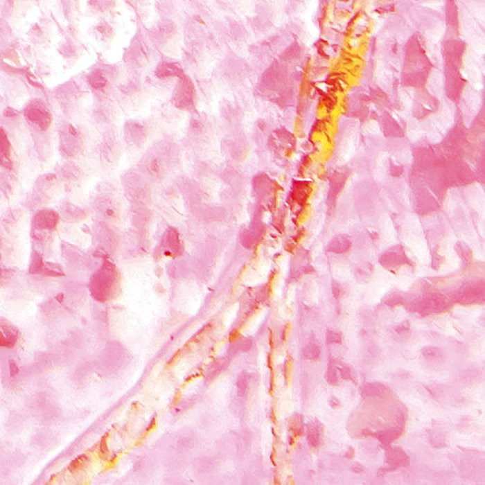 Cells Wrapping