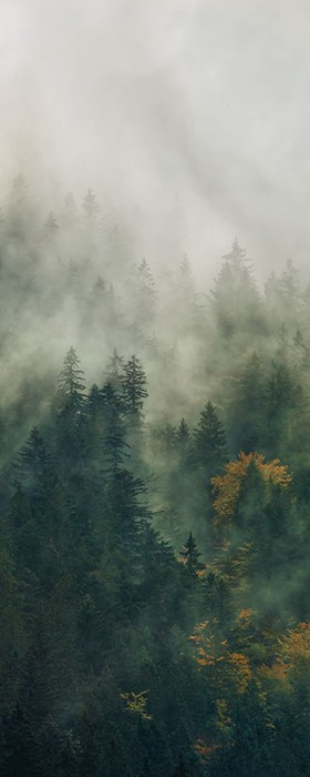 Tales of the Carpathians