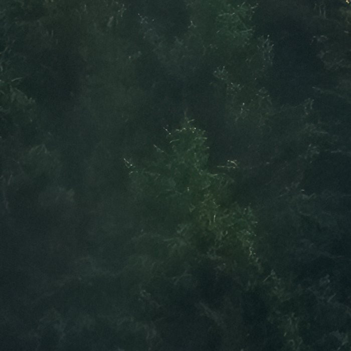 Tales of the Carpathians