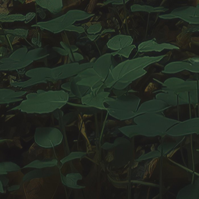 Hall of Mosses