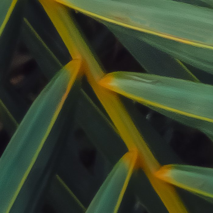 Amazon Fern