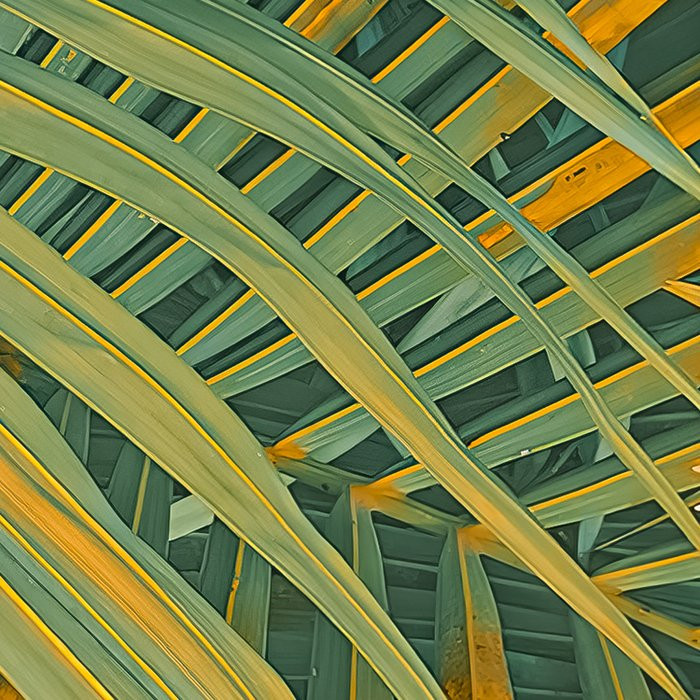 Neon Fern