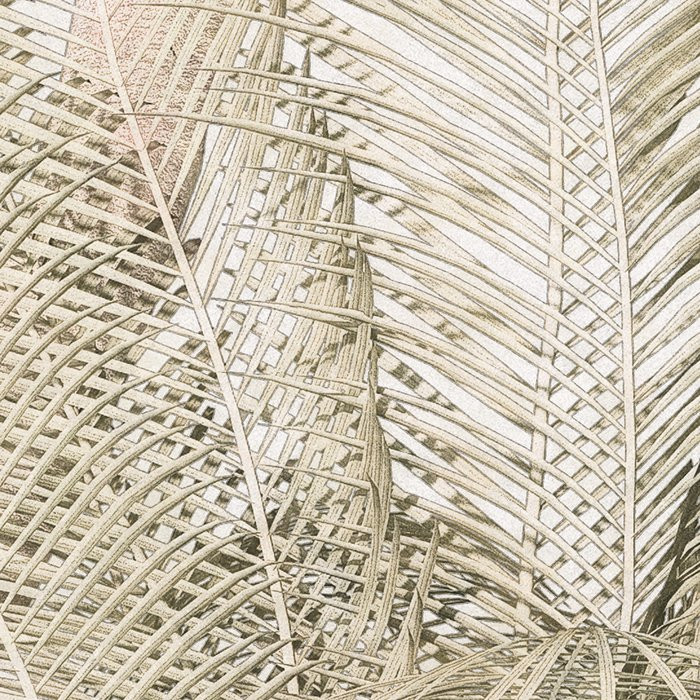 Palm Oasis