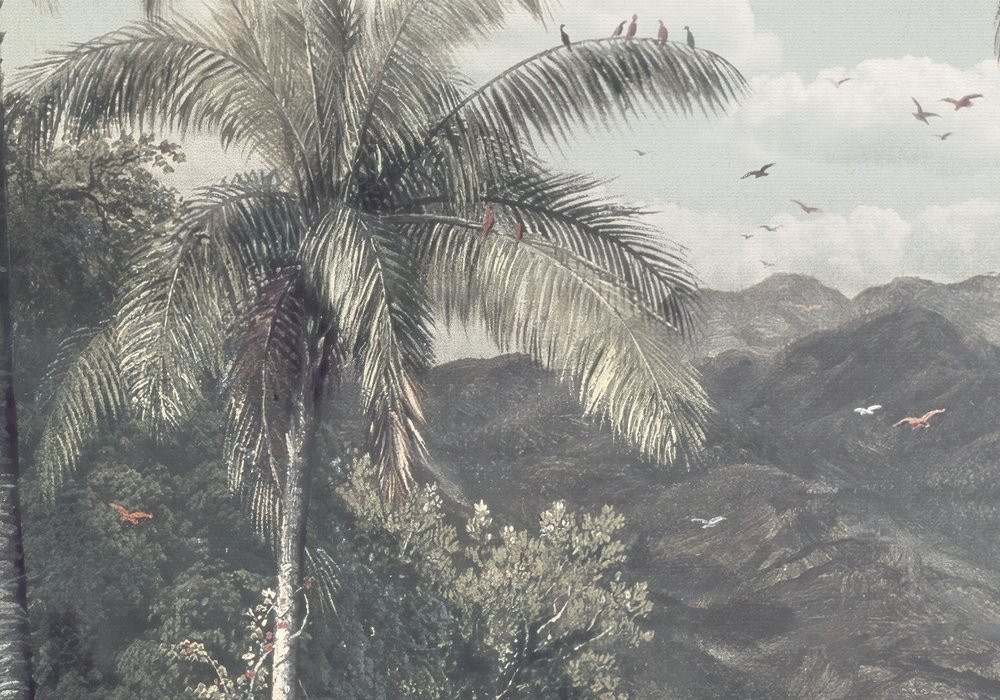 The Exotic Land