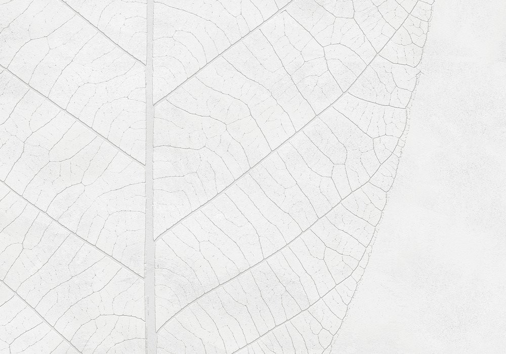 Decent Leaf
