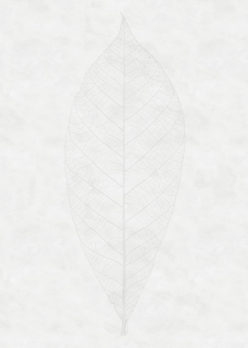 Decent Leaf