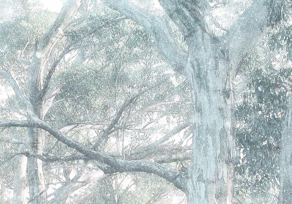 Magic Trees