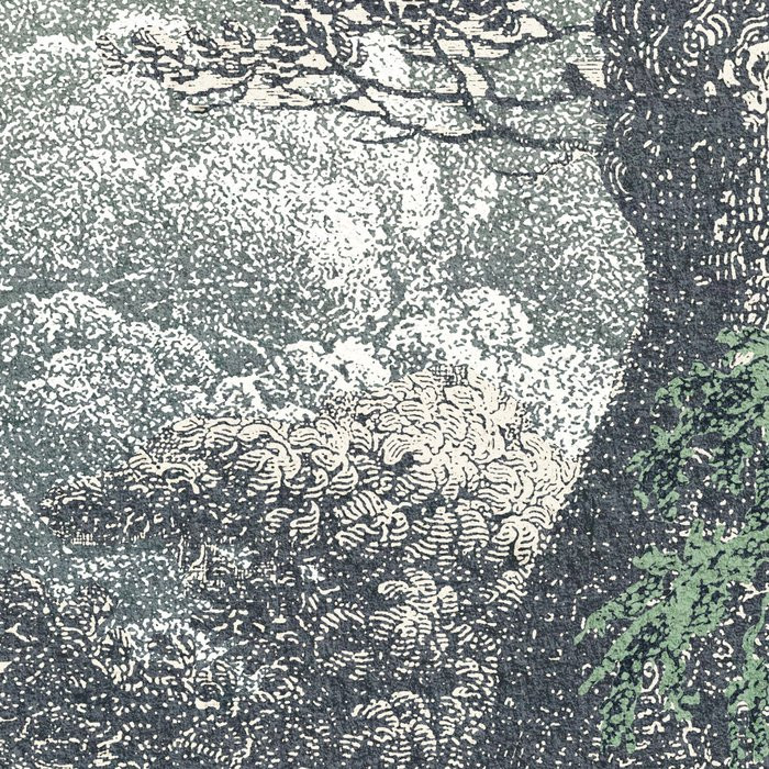 Fairytale Forest