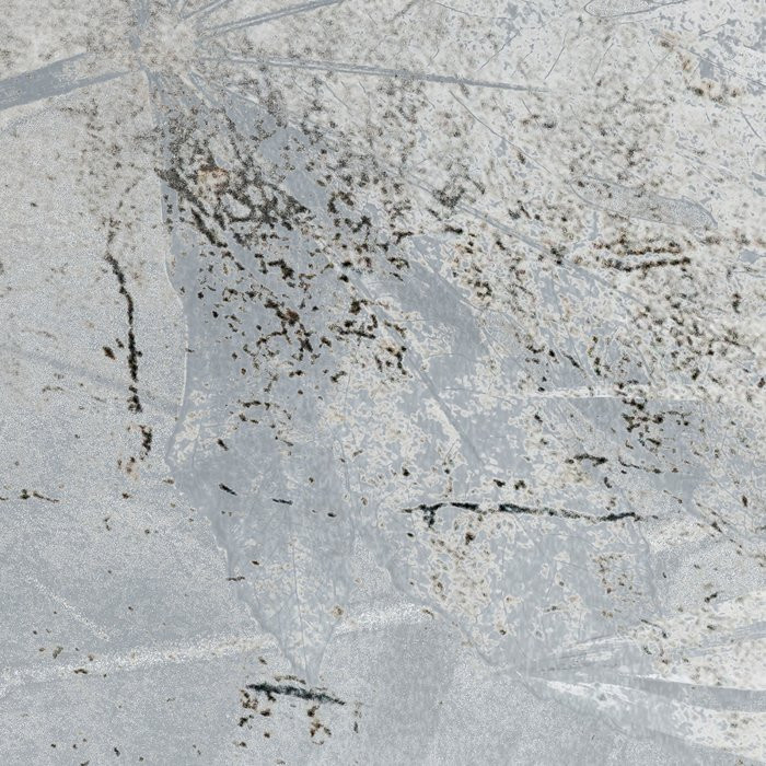 Flower Fossil