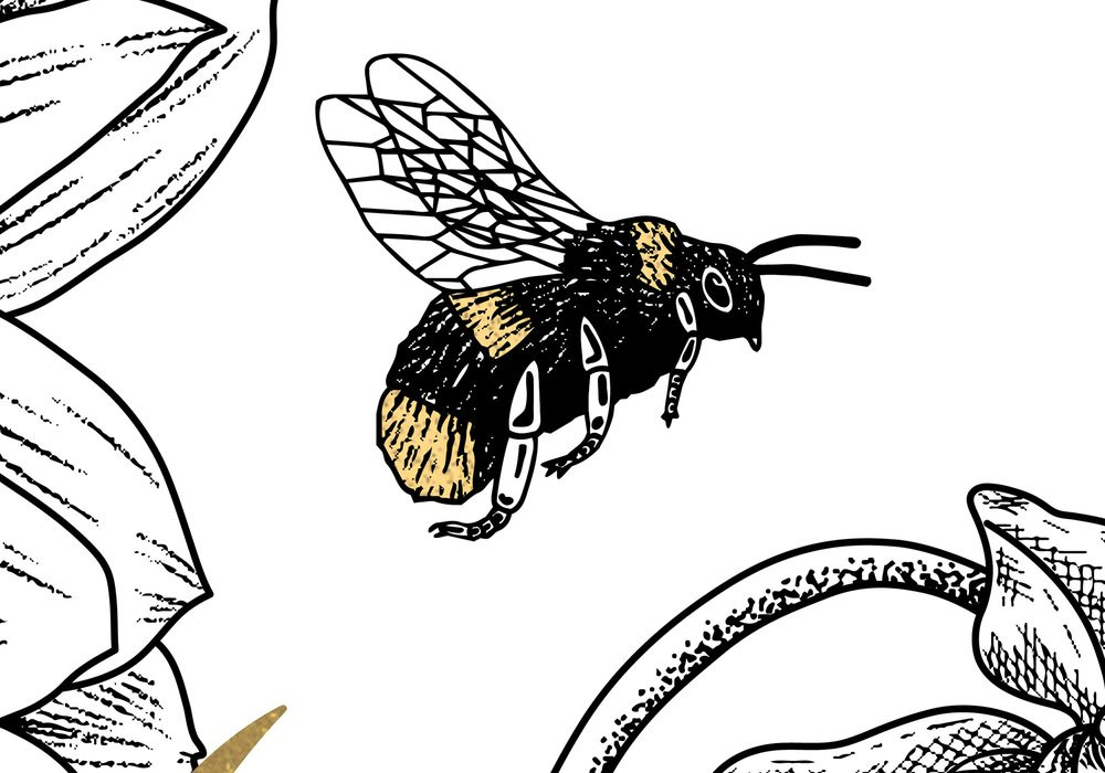 Bumble Bee