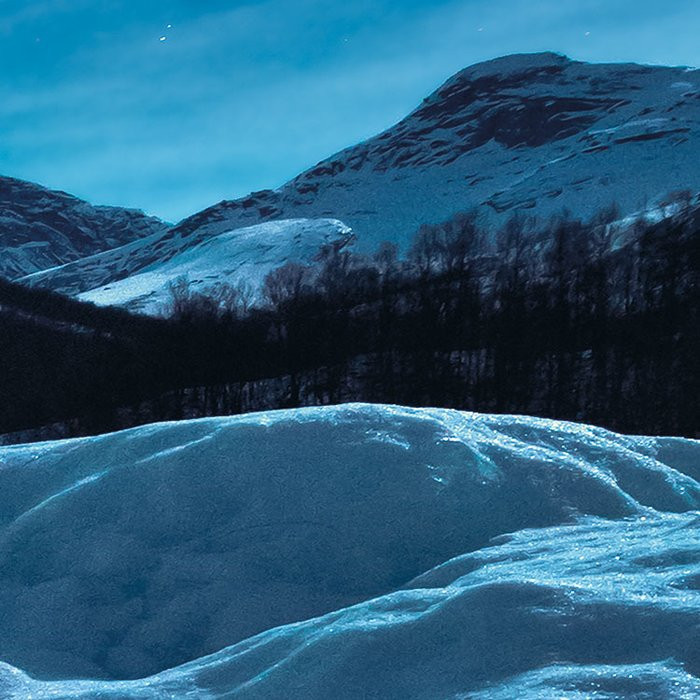 The Coronation