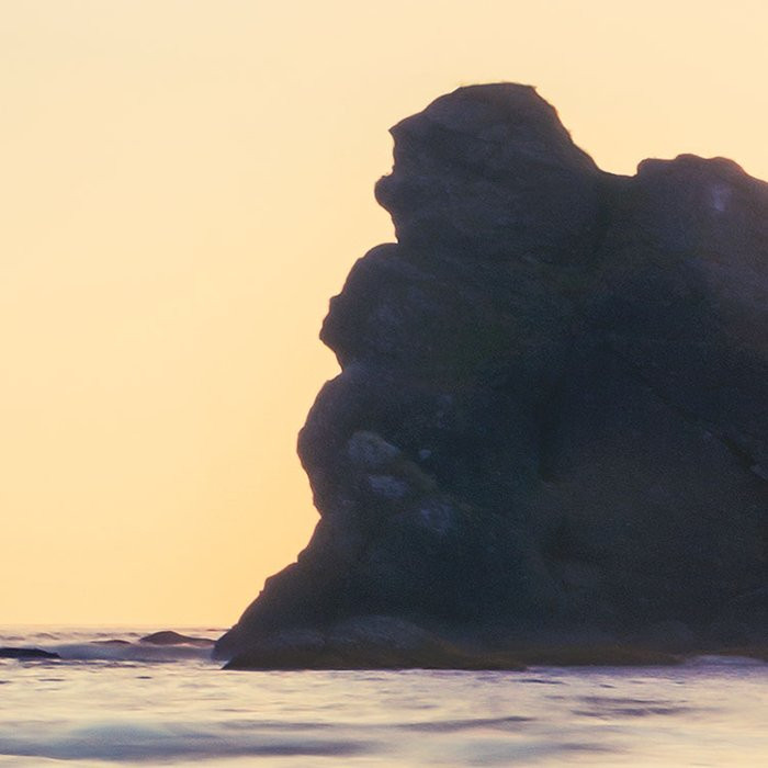 Island Dreaming