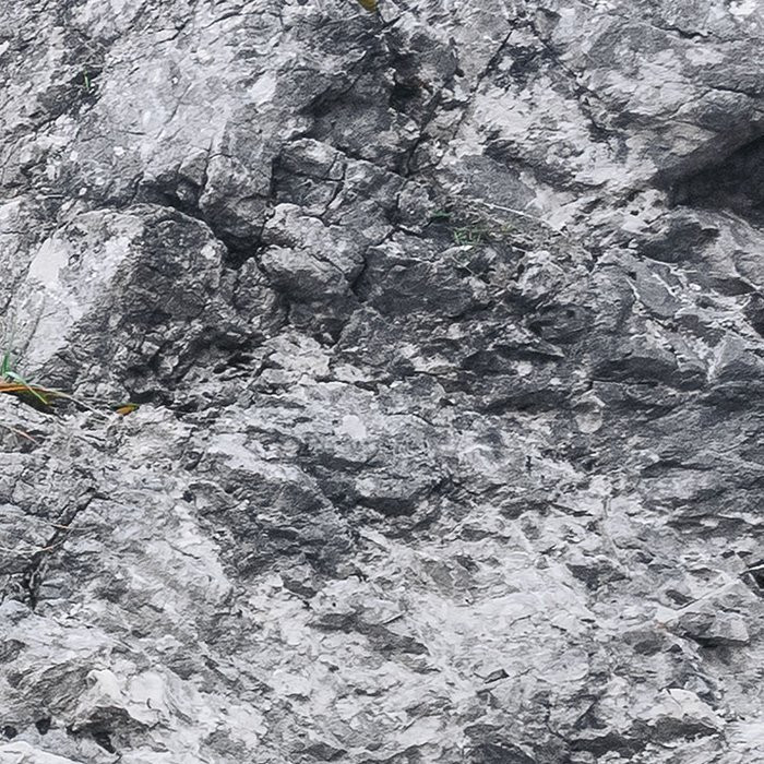 Euphoria