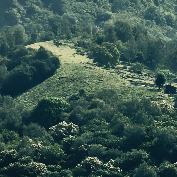 The Summit