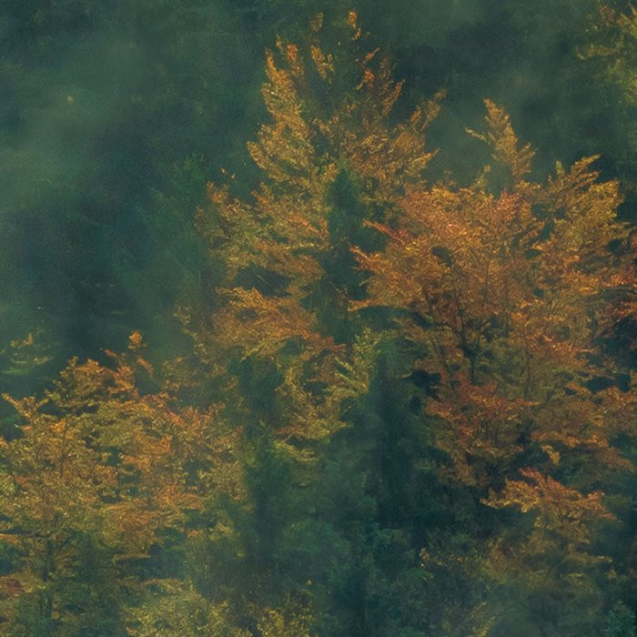 Tales of the Carpathians