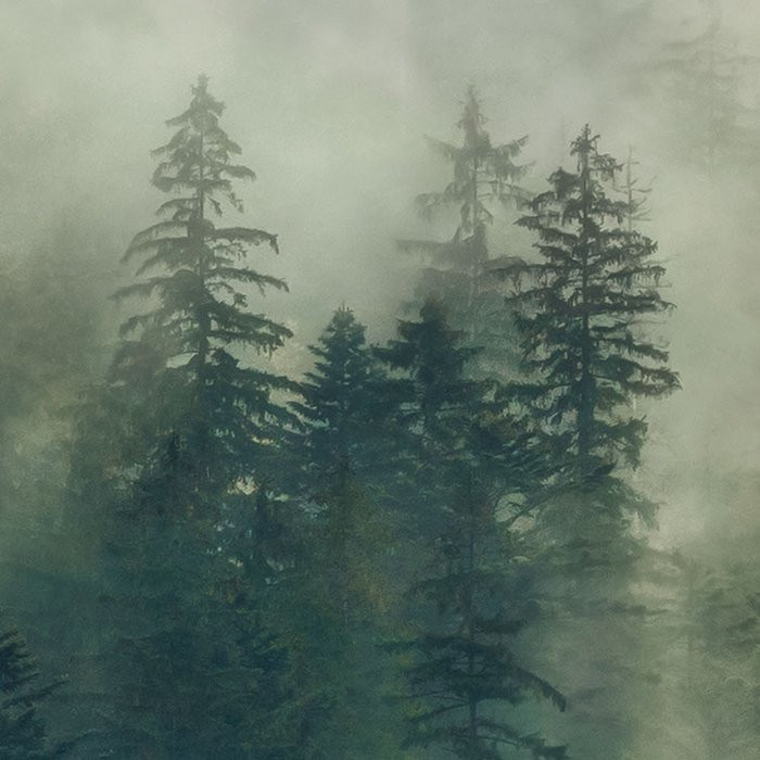 Tales of the Carpathians