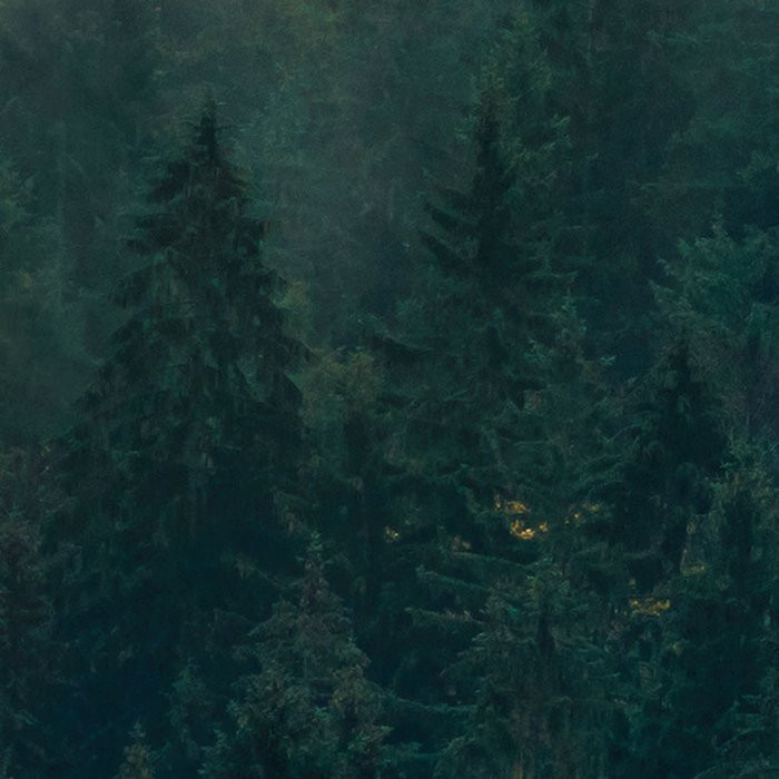 Tales of the Carpathians