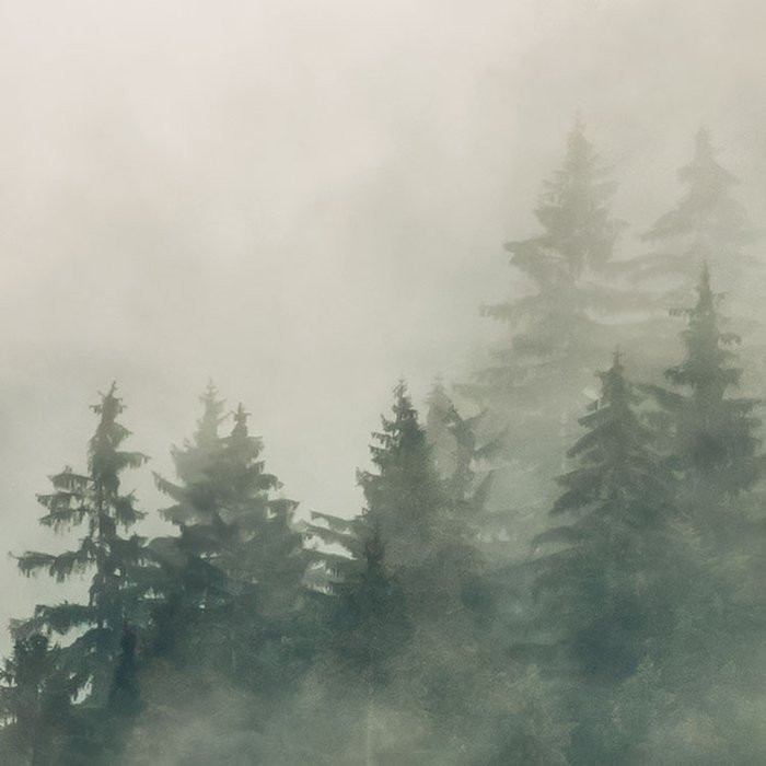 Tales of the Carpathians