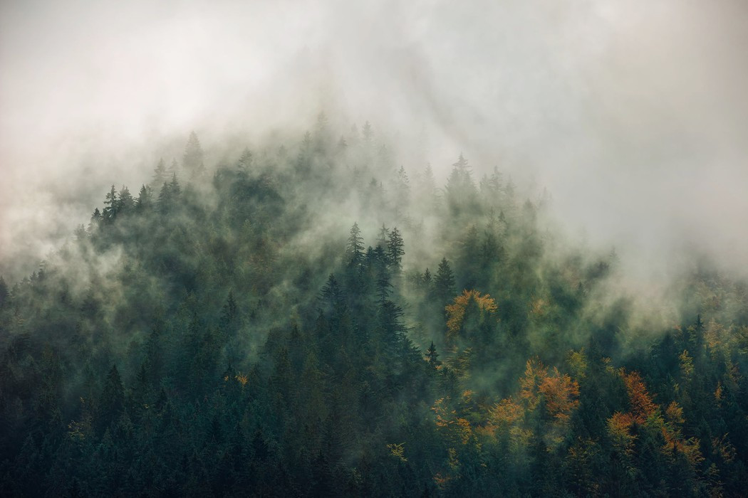 Tales of the Carpathians