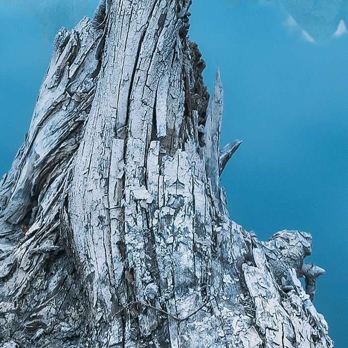 Alpine Treasure