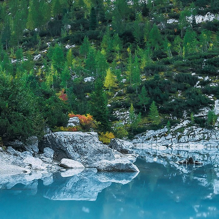 Alpine Treasure