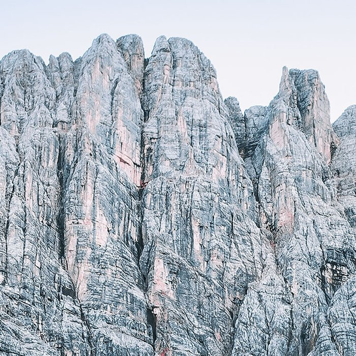 Alpine Treasure
