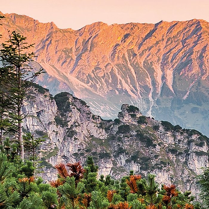 Alps