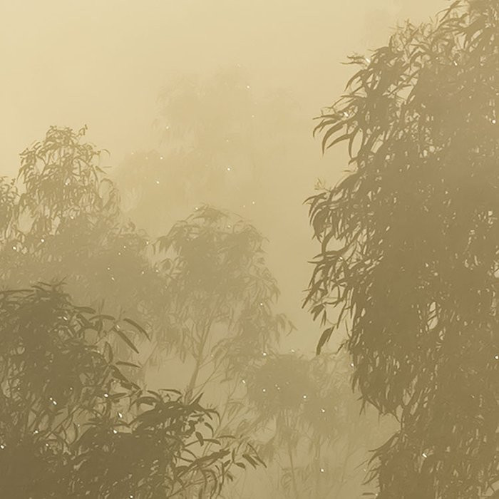 Misty Mountain