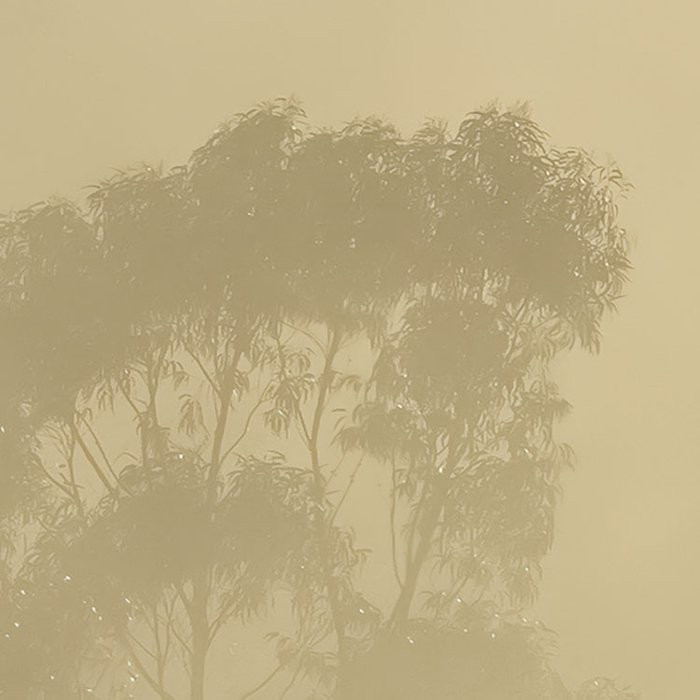 Misty Mountain