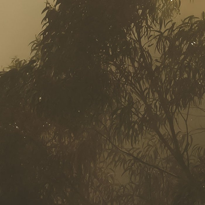 Misty Mountain