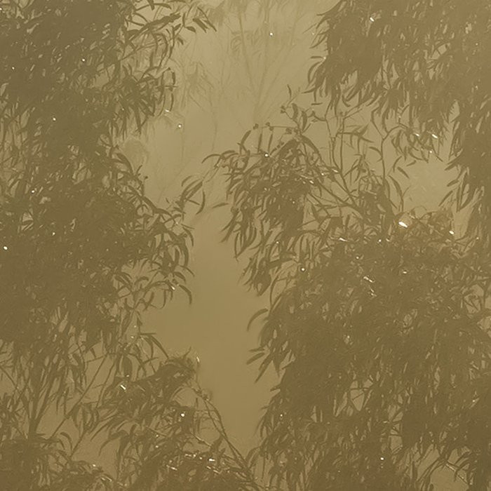 Misty Mountain