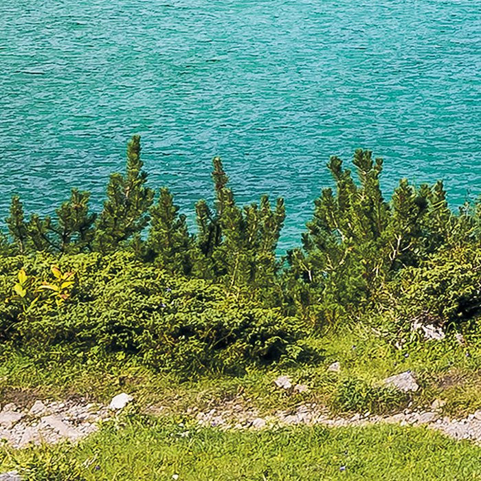 Paradise Lake