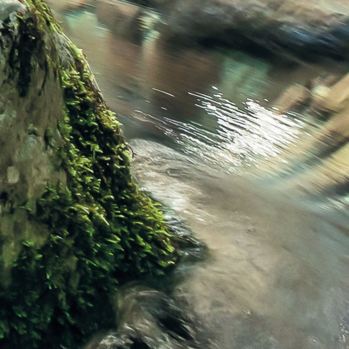 Tranquil Pool