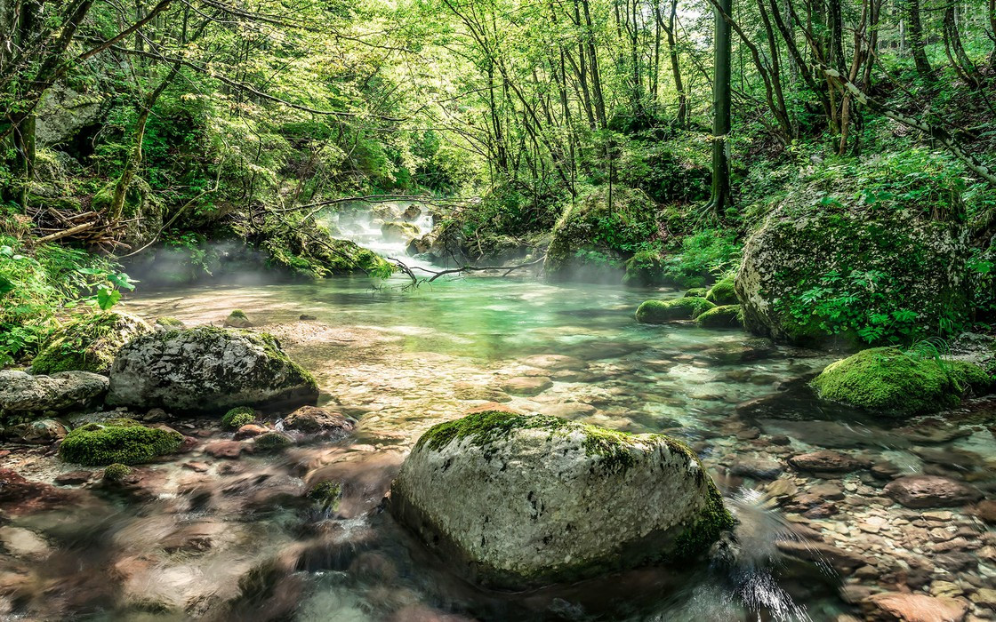 Tranquil Pool