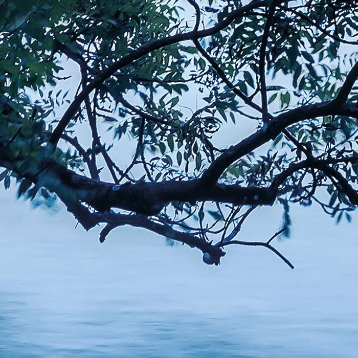 Blue Waters