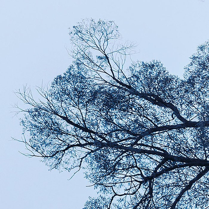 Blue Waters