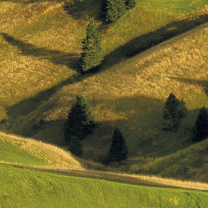 Alpen