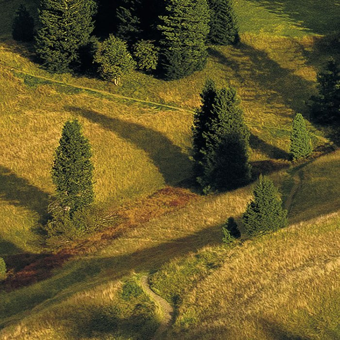 Alpen