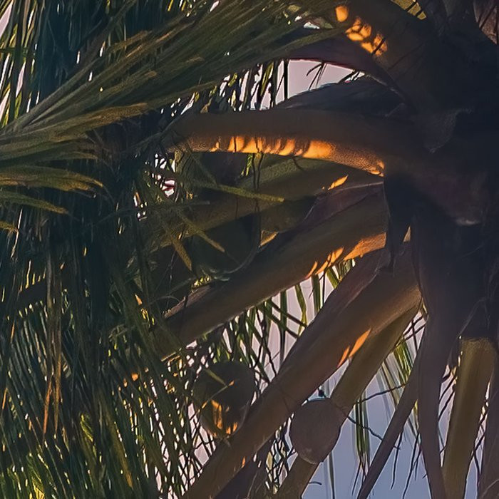 Vertical Paradise