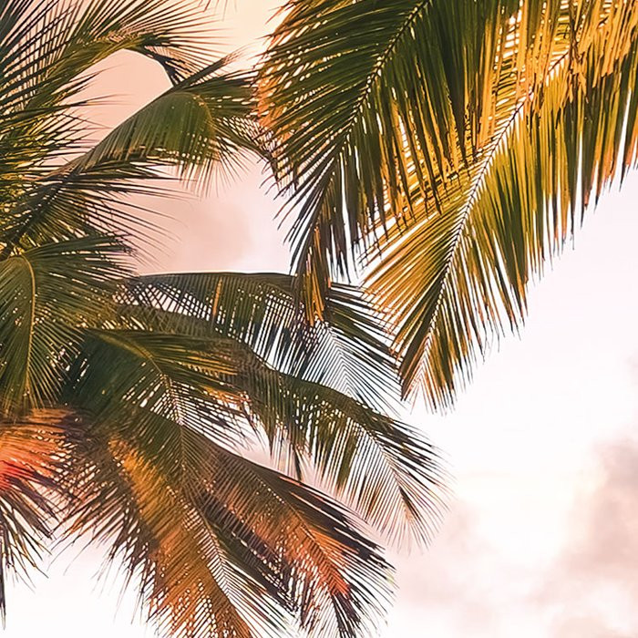 Vertical Paradise