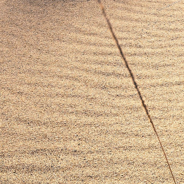 Vivid Dunes