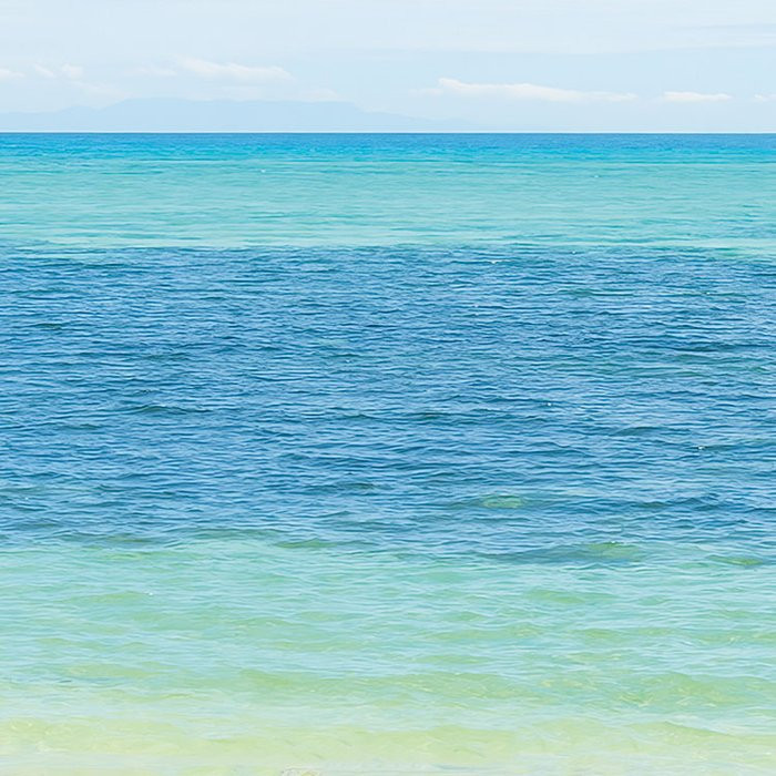 Palmy Beach