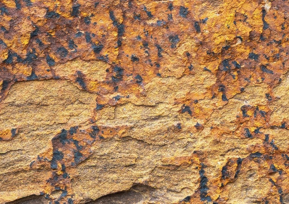 African Wall I