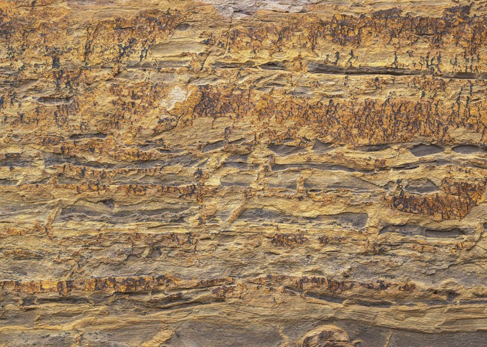 African Wall I