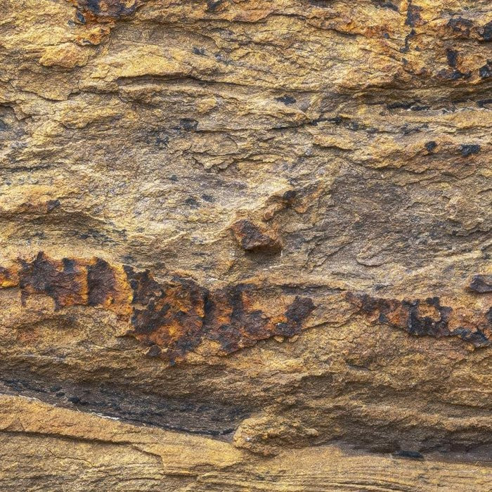 African Wall I
