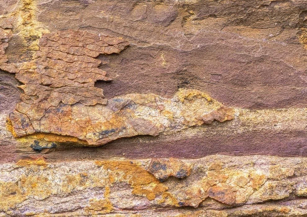 African Wall II